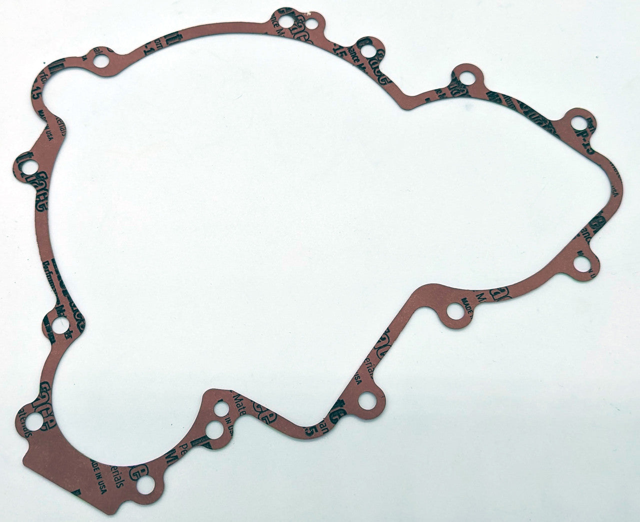 RZR Crank Pulley & Stator Housing Assembly